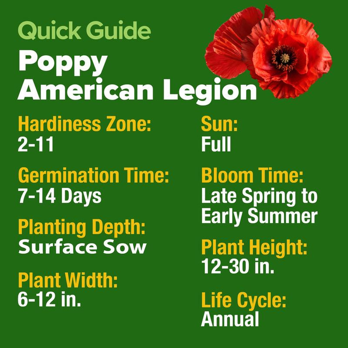 American Legion Poppy Seeds
