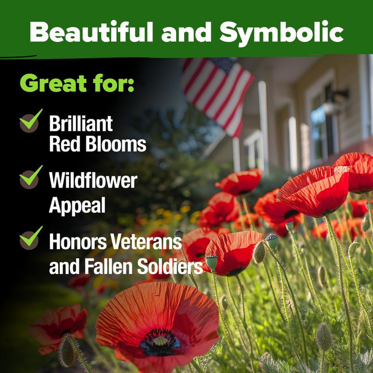 American Legion Poppy Seeds